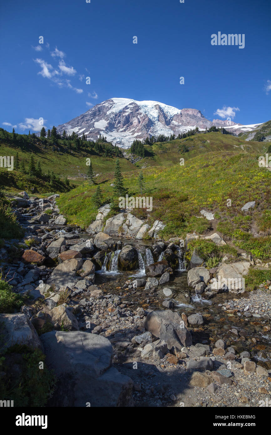 Un flusso tumbling attraverso prati alpini conduce a magnifici panorami di Mount Rainier. Colpo verticale con copia spazio. Foto Stock