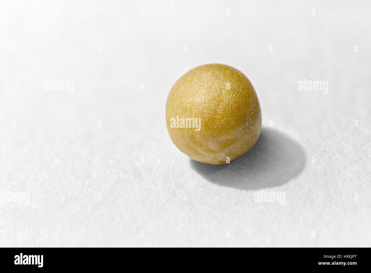 Ripresa macro di un seme di senape bianca sulla superficie della carta Foto Stock