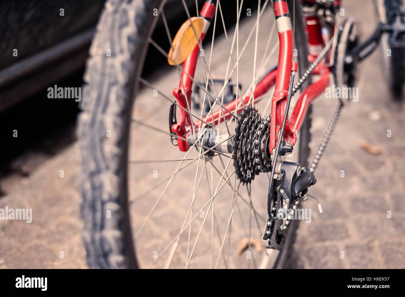 In bicicletta. Il fuoco selettivo sulla catena e trasmissione. Ingranaggio posteriore e la catena di bicicletta. Foto Stock