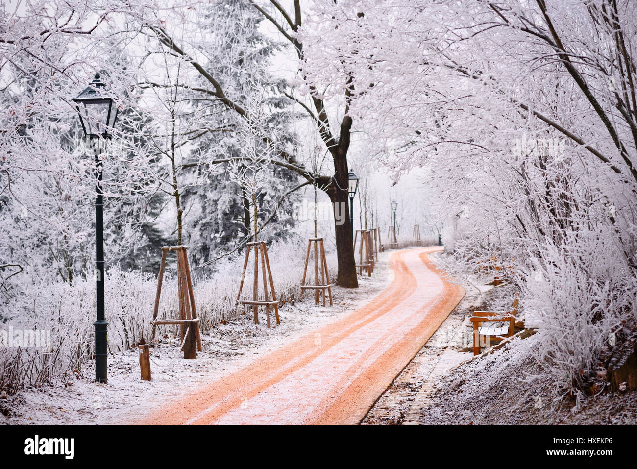Rime alberi coperti in inverno il parco della città di Brno, in Repubblica Ceca Foto Stock