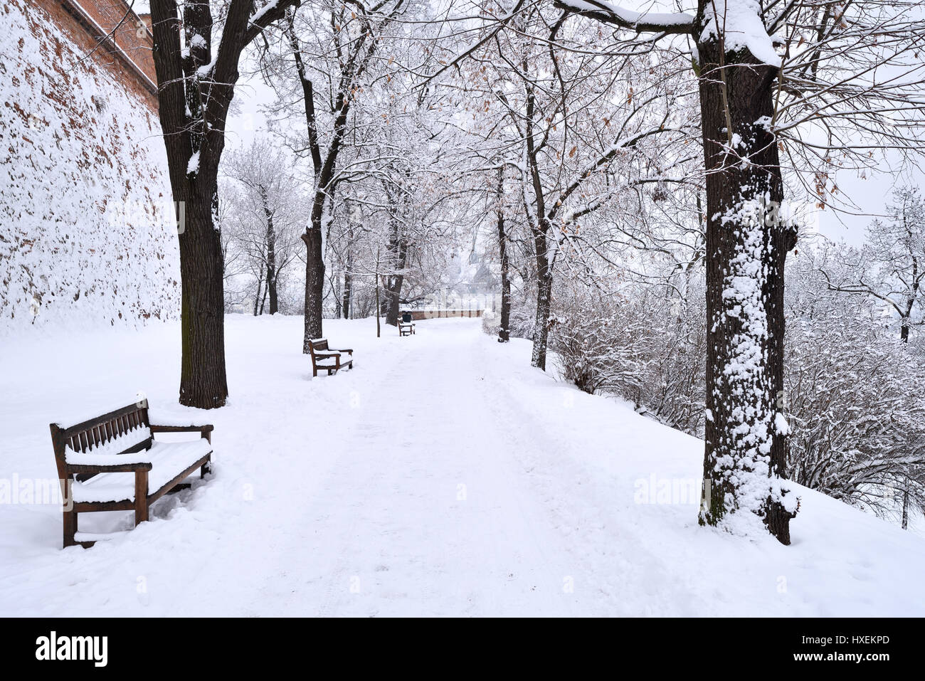 Il parco della città coperto in fresco bianco della neve Foto Stock