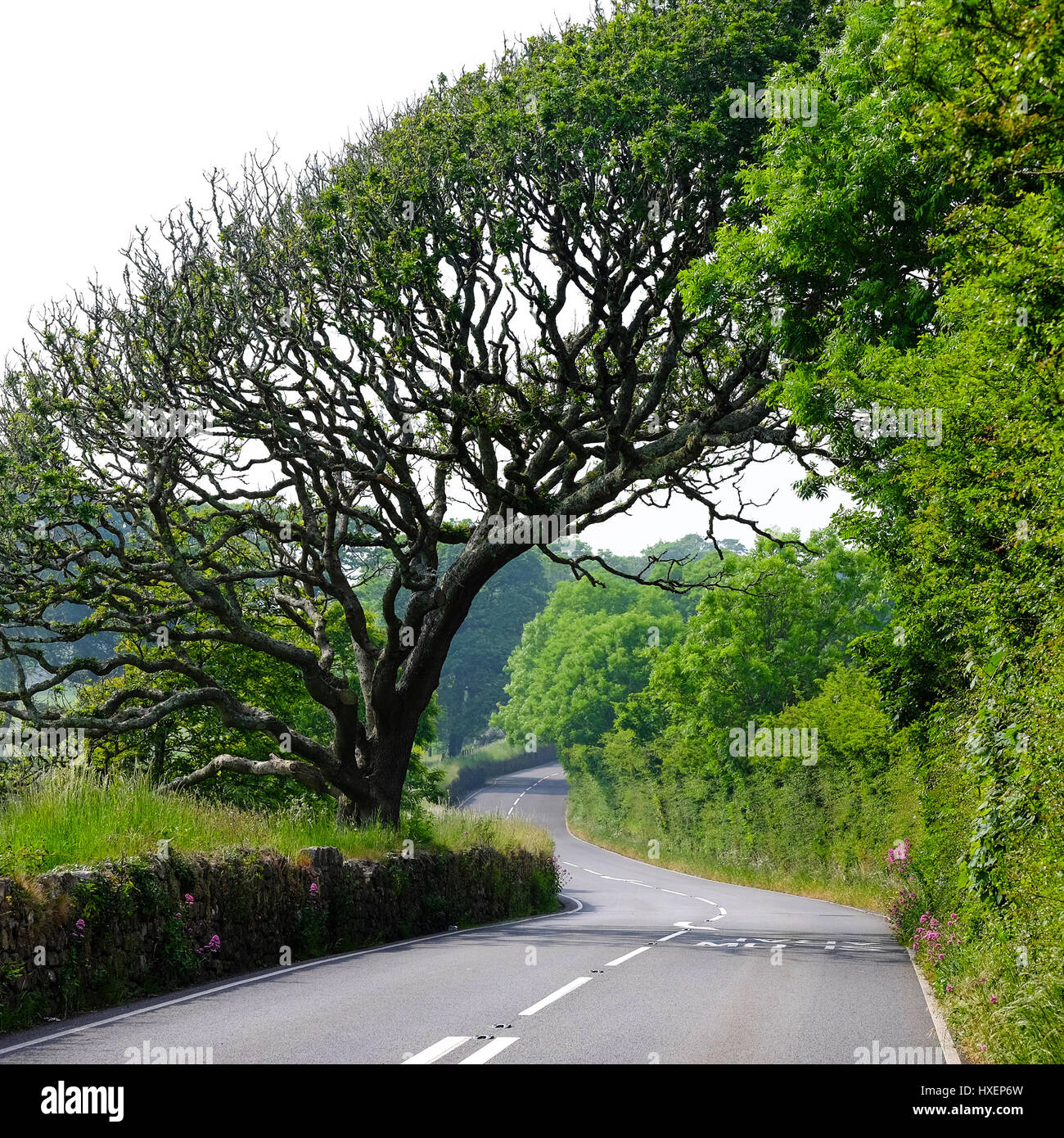 Impressionante struttura a sbalzo sulla strada da Nicholaston di Rhossili sulla Penisola di Gower nel Galles del Sud, Regno Unito Foto Stock