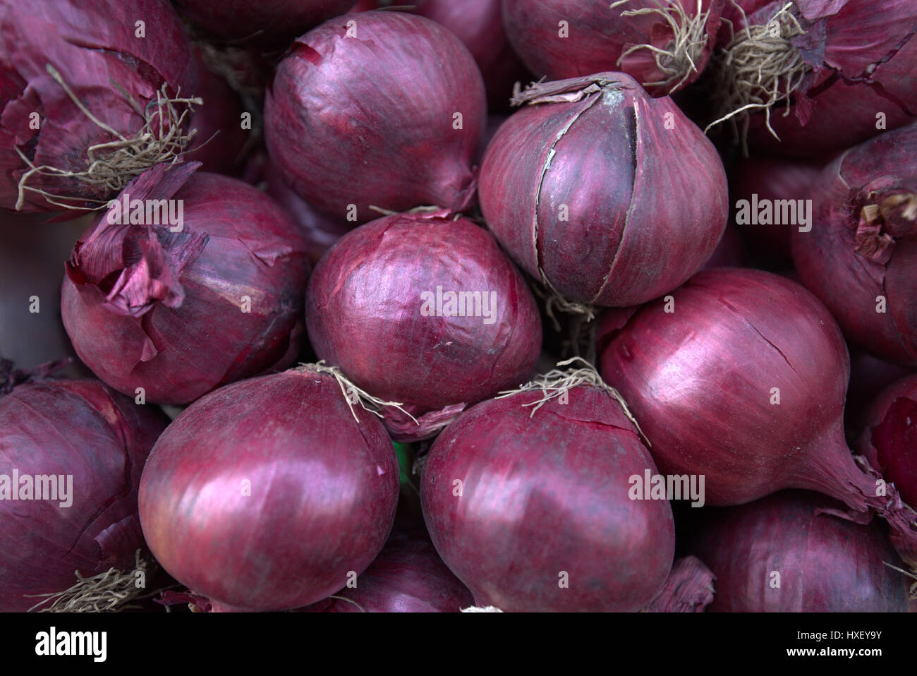 La frutta e la verdura otganic stallo di cipolle rosse Foto Stock