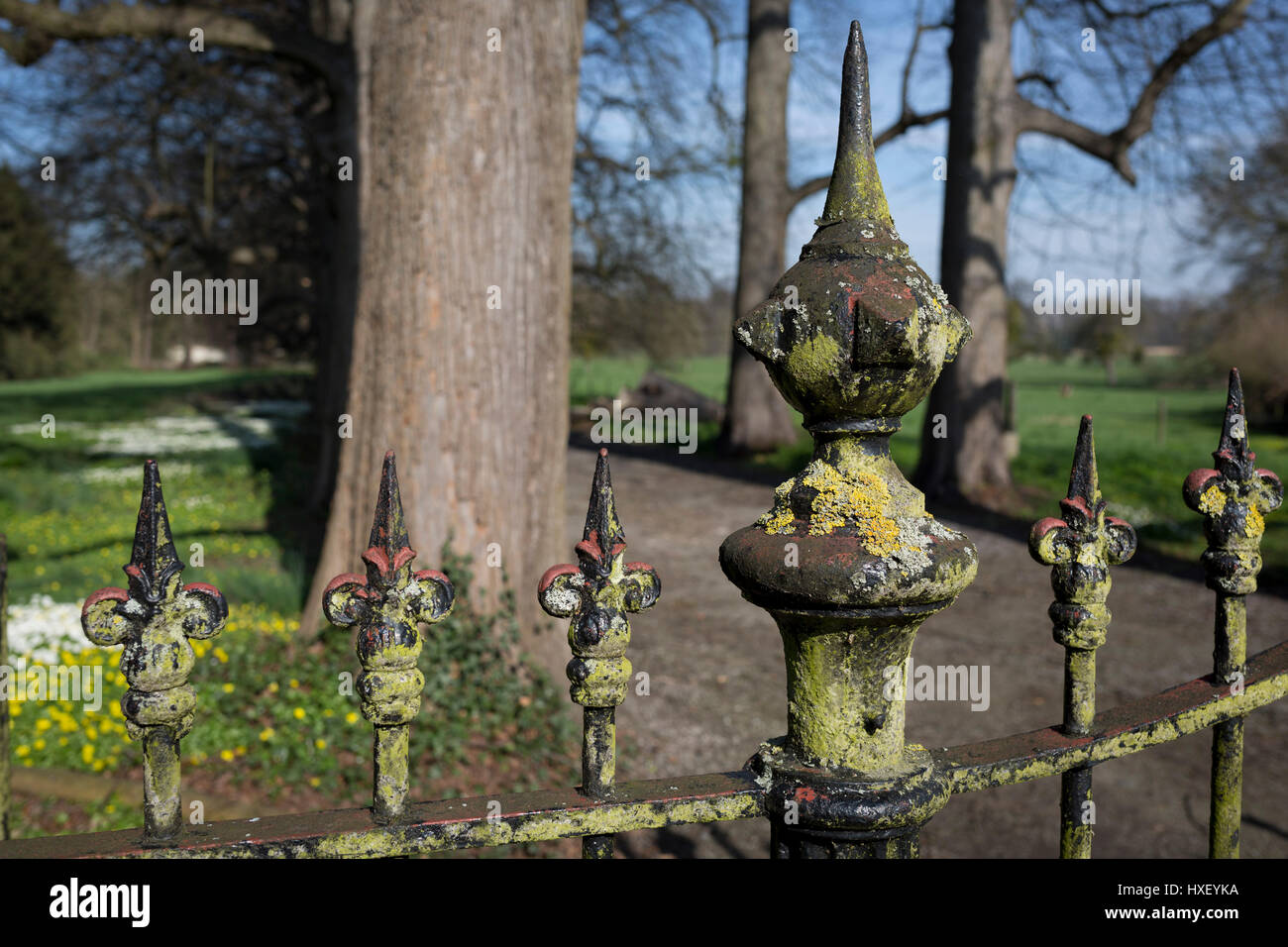 Vecchi cancelli in ferro battuto e nessun segno di entrata all'ingresso della proprietà privata de Merode castello, fuori dai limiti per i locali, il 25 marzo, in Everberg, Brabant, Belgio. de Merode castello fu costruito nel XVI secolo e contiene tre edifici separati: il residence, un edificio per gli animali, un edificio per i dipendenti e il ricovero di carrelli. Everberg è una città nella provincia belga Flemish-Brabant e fa parte del comune di Kortenberg. Foto Stock