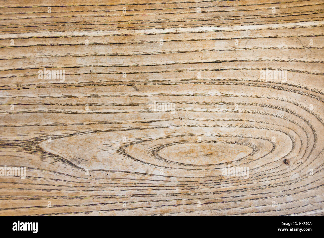 Superficie di legno della vecchia scheda realizzata in legno di frassino. Modello formato da anelli annuali, anello di legno poroso. Sezione trasversale radiale della struttura. Segni visibili di utilizzo. Foto Stock