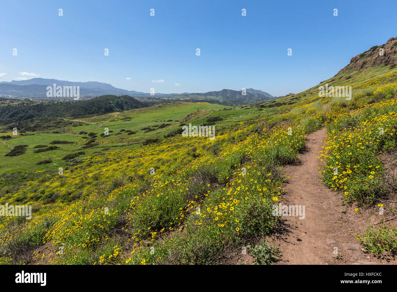 Verde collina vista di Wildwood Parco Regionale nella Contea di Ventura comunità di Thousand Oaks, California. Foto Stock