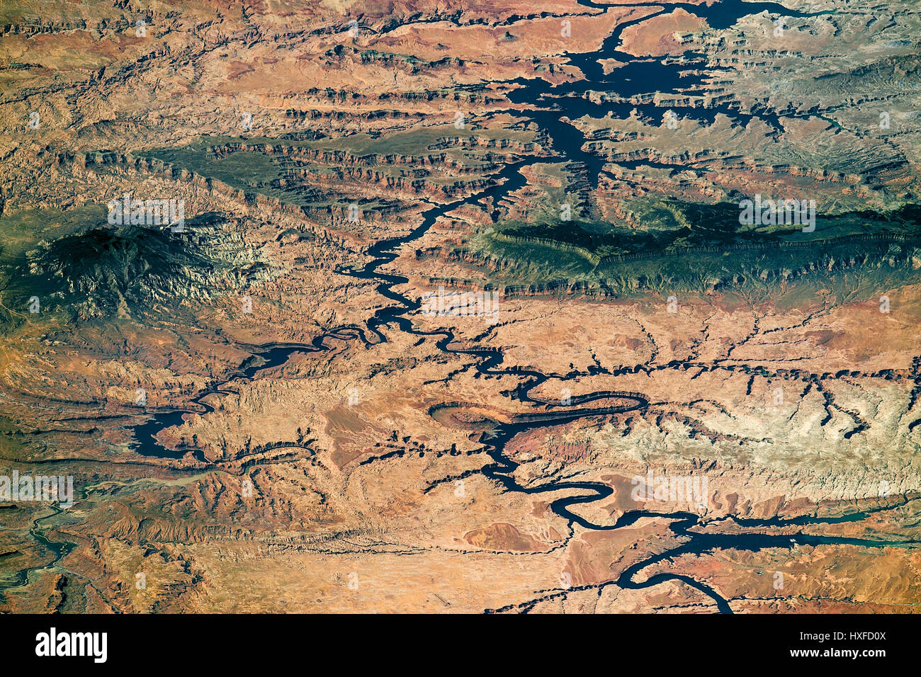 Il Lago Powell e il fiume Colorad, Arizona/confine dello Utah, Stati Uniti d'America. Immagine ISS Foto Stock