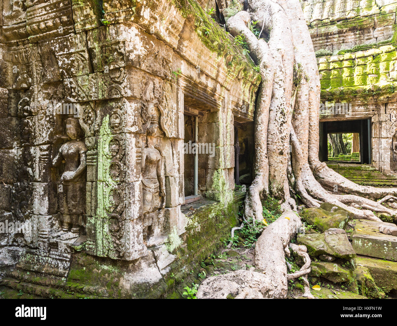 Bassorilievi e gli alberi che si fonde con l'antica pietra del famoso Khmer Ta Prohm tempio di Angkor, Siem Reap in Cambogia Foto Stock