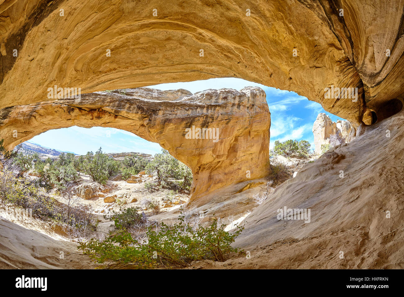 Obiettivo Fisheye foto del Moonshine Arch, primaverile, Utah, Stati Uniti d'America. Foto Stock