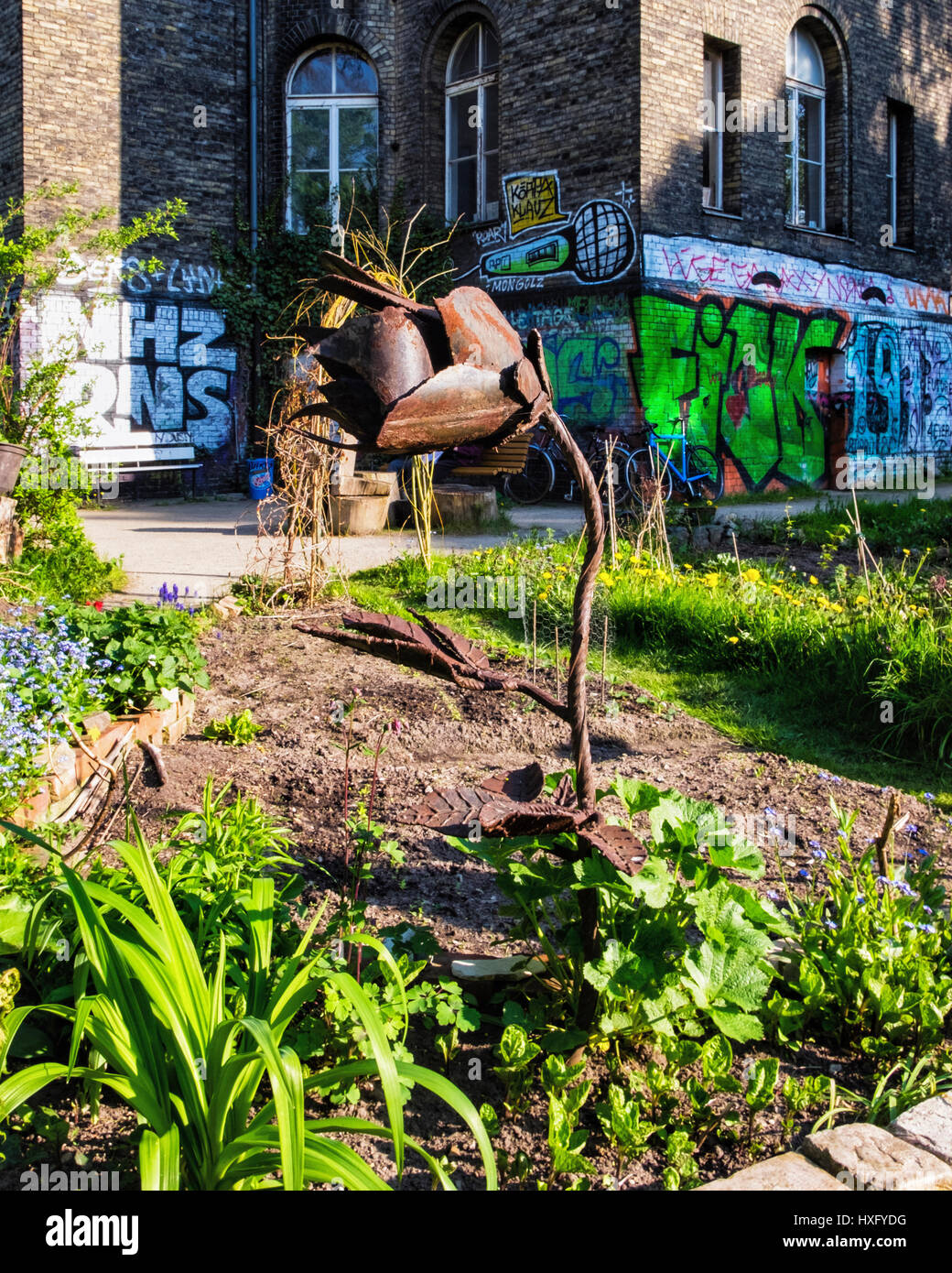 Berlino Kreuzberg. Il ton Steine giardino, comunale comunità urbane progetto giardinaggio accanto alla Georg von Rauch House. Foto Stock