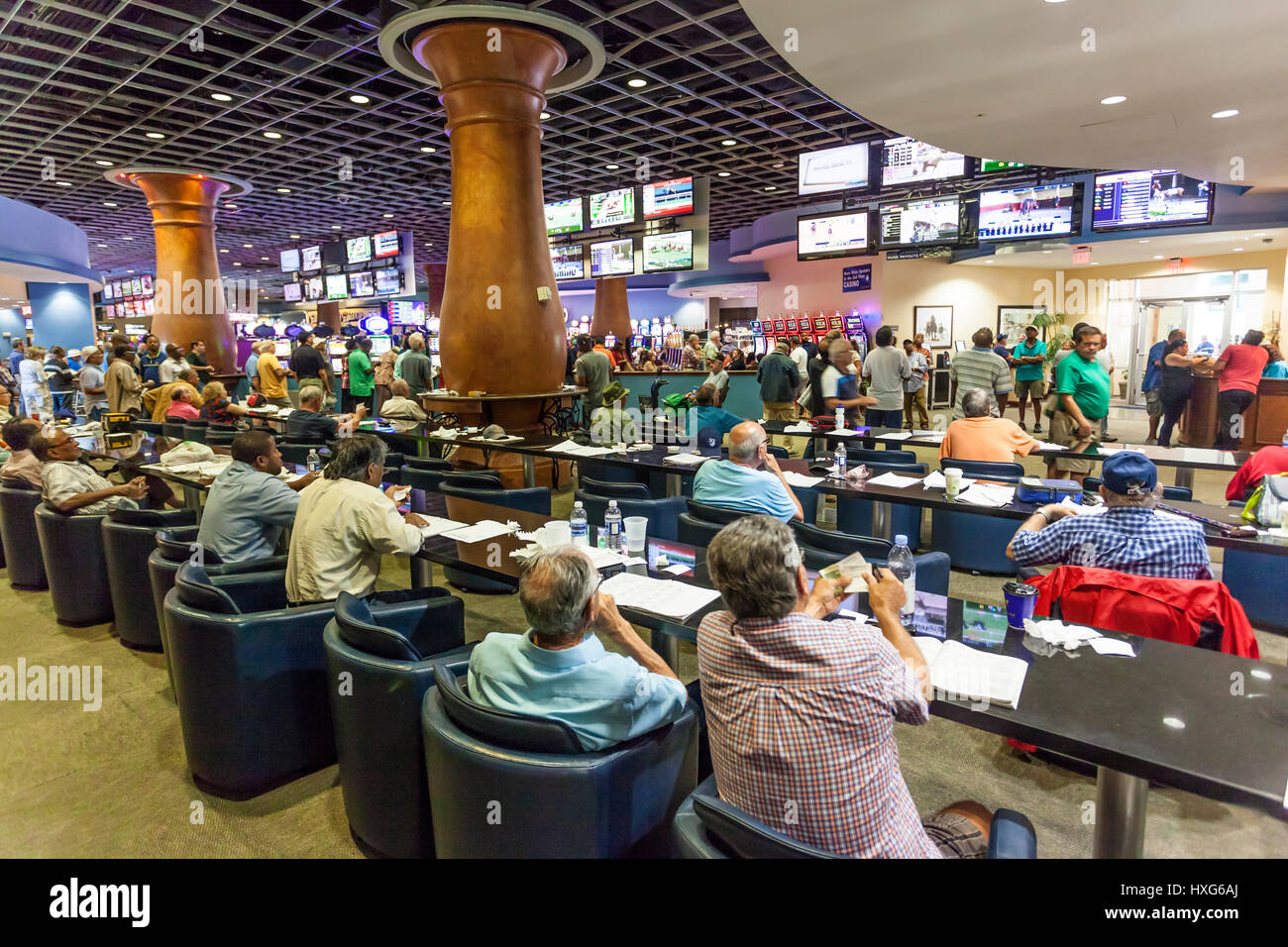 HALLANDALE Beach, Stati Uniti d'America - Mar 11, 2017: persone scommesse e gioco d'azzardo in Gulfstream Park casino in Hallandale Beach. Florida, Stati Uniti Foto Stock