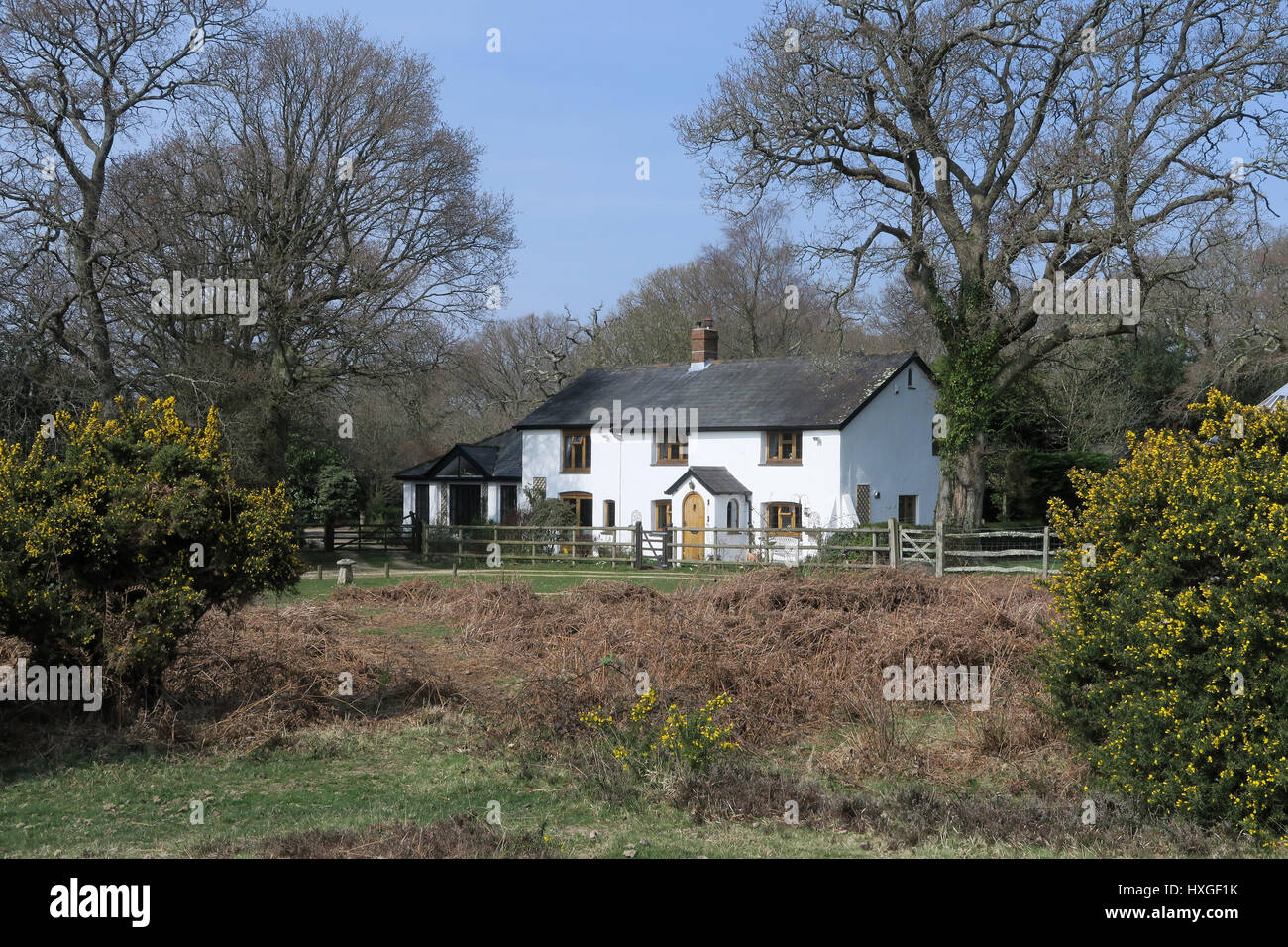 Quintessenza inglese New Forest cottage Foto Stock