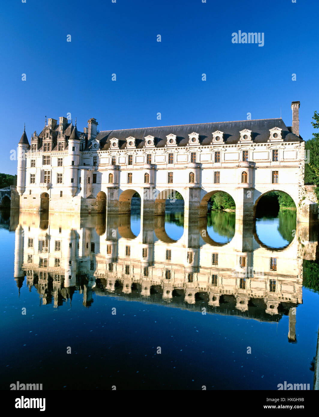 Chateau de Chenonceau, Valle della Loira, Francia Foto Stock