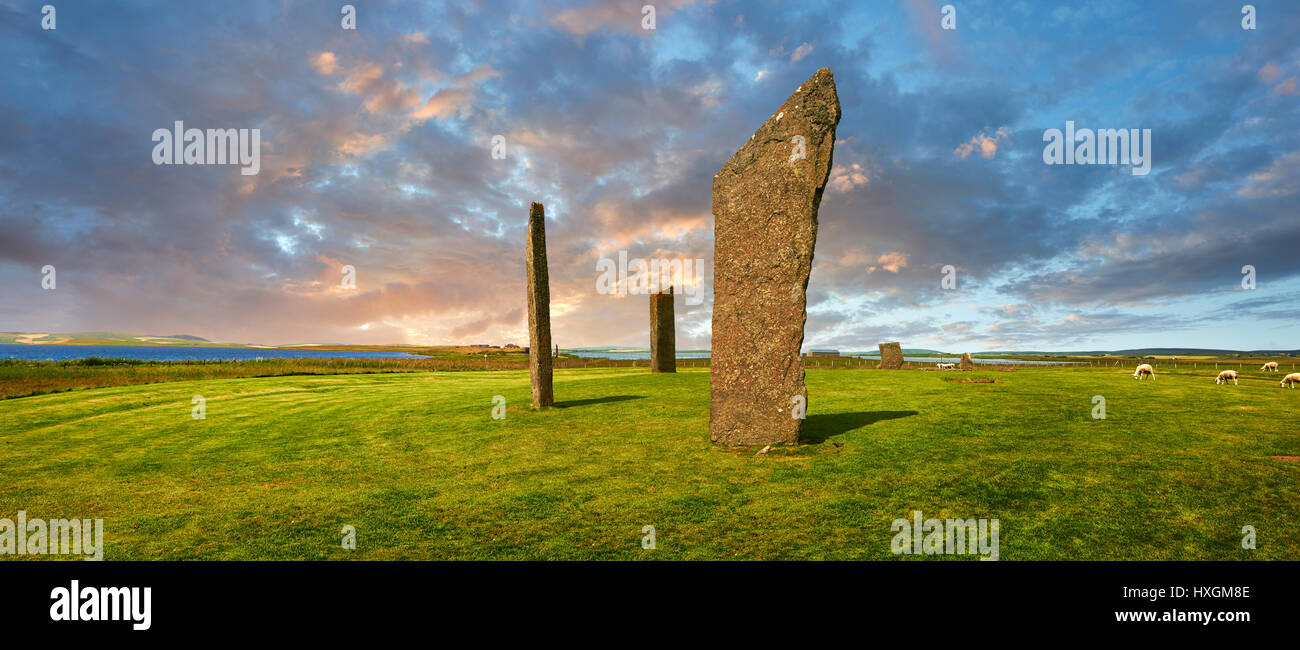 Neolitico pietre permanente di Stenness, Isola di Orkney, Scozia Foto Stock