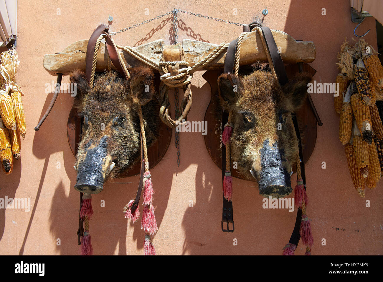 Il cinghiale capi al di fuori di una tipica Norcineria shop, Norcia in Umbria, Italia Foto Stock