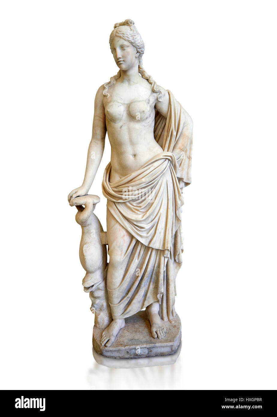 busto di Venere/Afrodite Scultura dea dellamore 