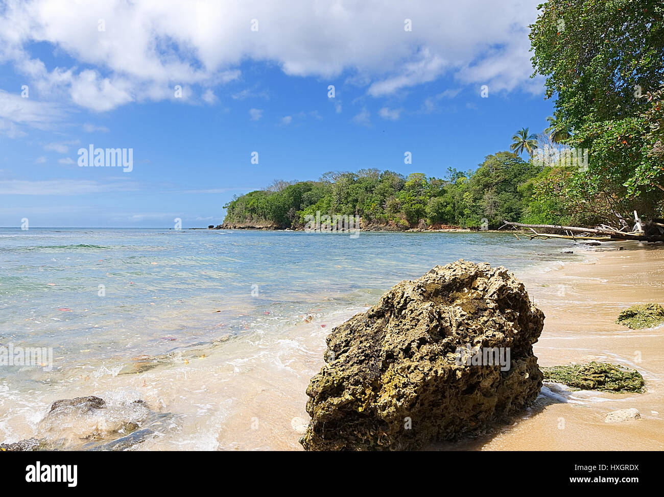 Repubblica di Trinidad e Tobago - isola di Tobago - Mt. Irvine bay - spiaggia tropicale del Mar dei Caraibi Foto Stock