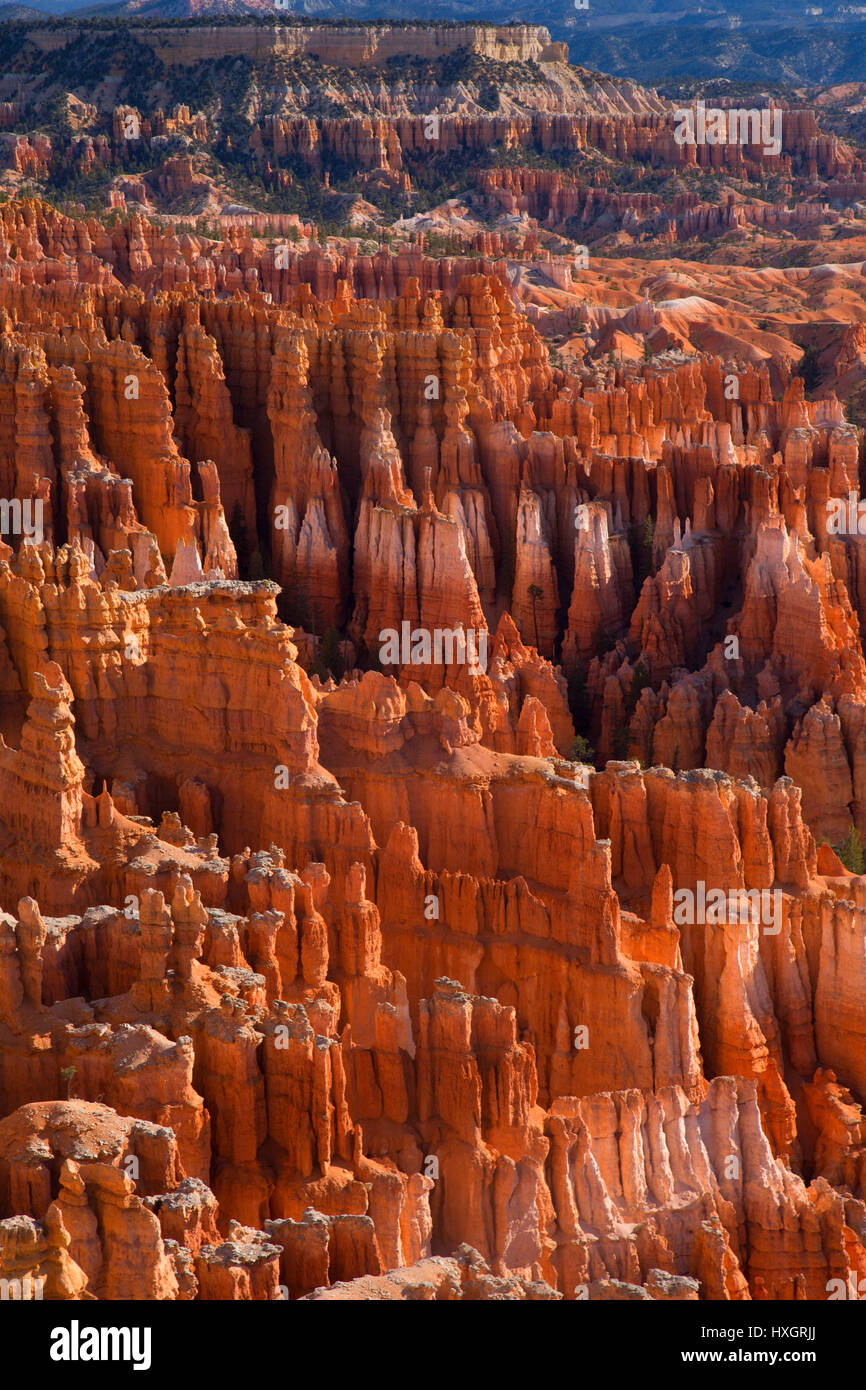 Bryce Canyon Bryce Canyon National Park, Utah Foto Stock