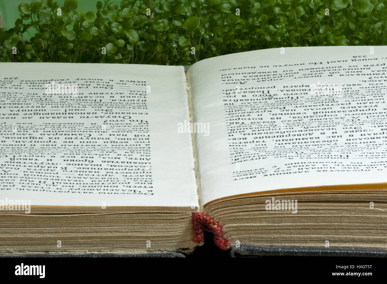 La colonna vertebrale libro aperto, la vegetazione verde, la lettura di libri di conoscenza di origine Foto Stock