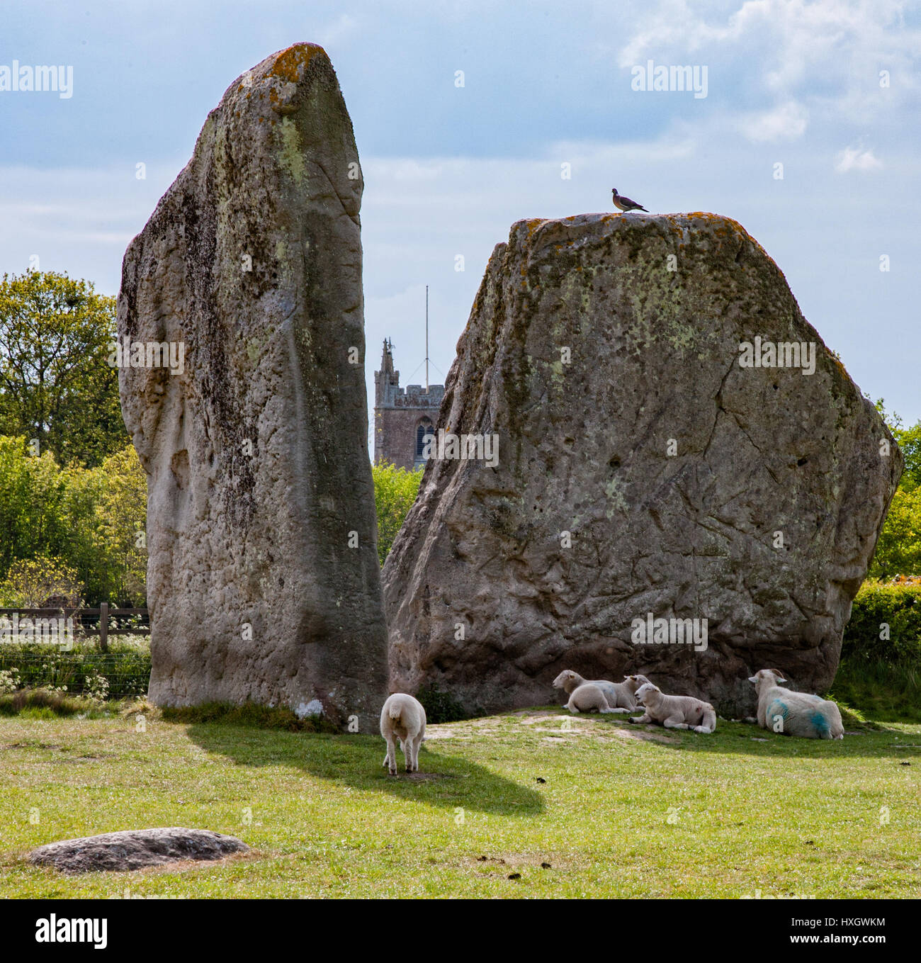 Sarsen standing Pietre di Avebury circoli di pietra con le case del borgo costruito all'interno delle antiche sterro Foto Stock