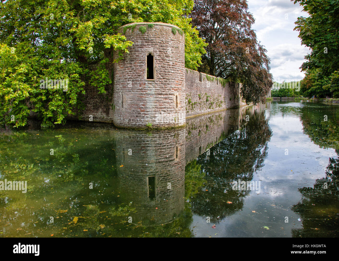 Il Palazzo Vescovile e il fossato nella città di Wells Somerset REGNO UNITO Foto Stock