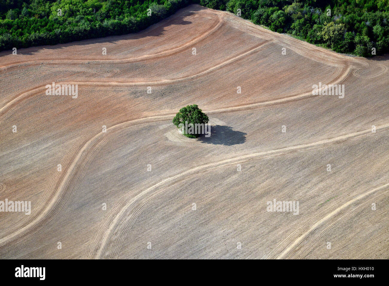 Terreni agricoli Foto Stock