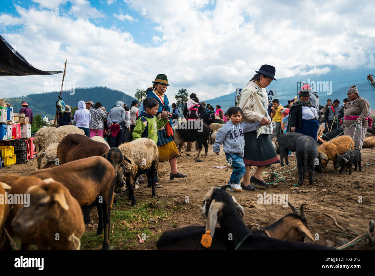 Otavalo, Ecuador - Il 1 febbraio 2014: le persone al mercato del bestiame della città di Quito in Ecuador. Foto Stock