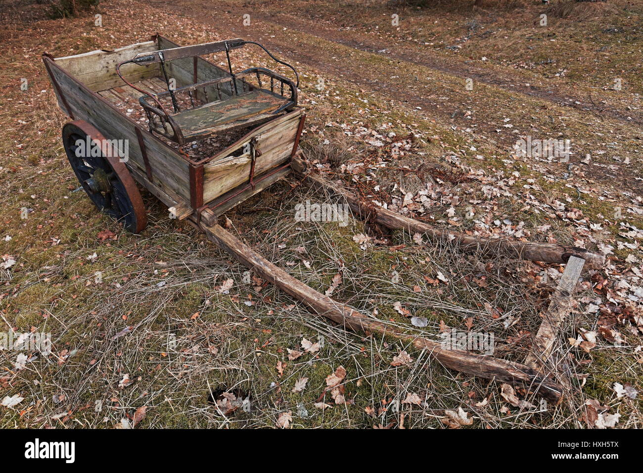 Il vecchio cavallo rimorchio in campagna Foto Stock
