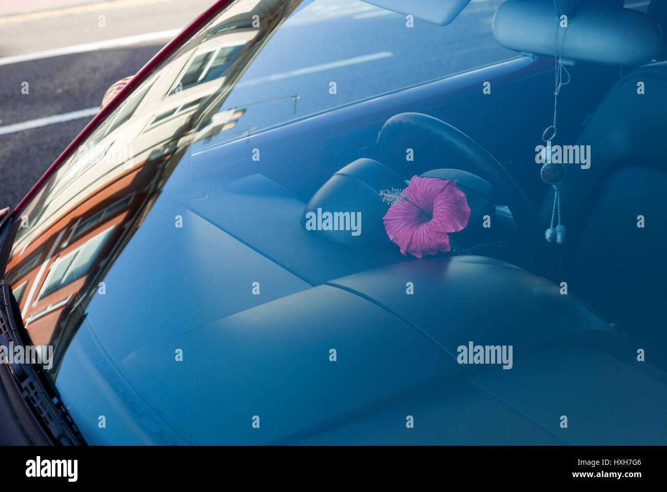 Fiore sul cruscotto di automobile visto attraverso il parabrezza Foto Stock