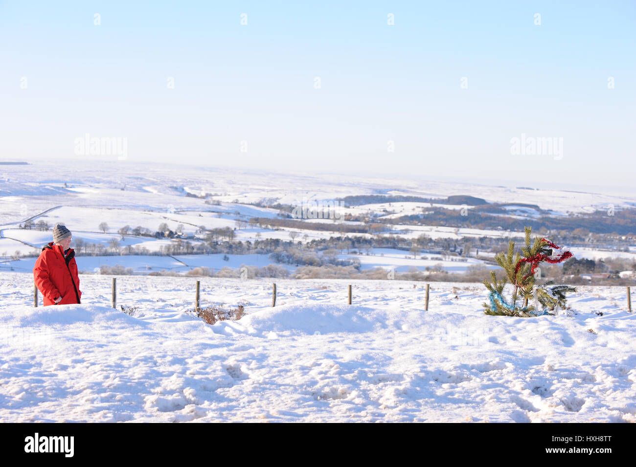 Decorate LONE ALBERO DI NATALE NORTH YORKSHIRE MOOR North Yorkshire Moors tra il 21 dicembre 2010 Foto Stock