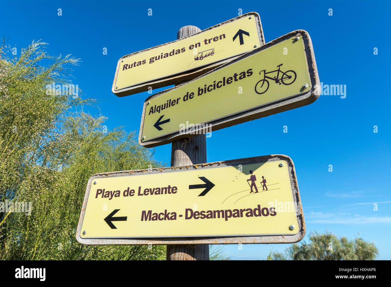 Segnali che indicano diverse attività, segnaletica Foto Stock