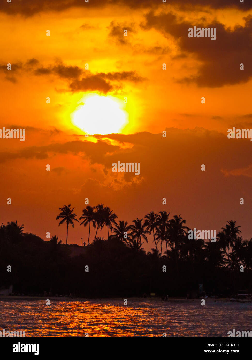 Tramonto tropicale Foto Stock
