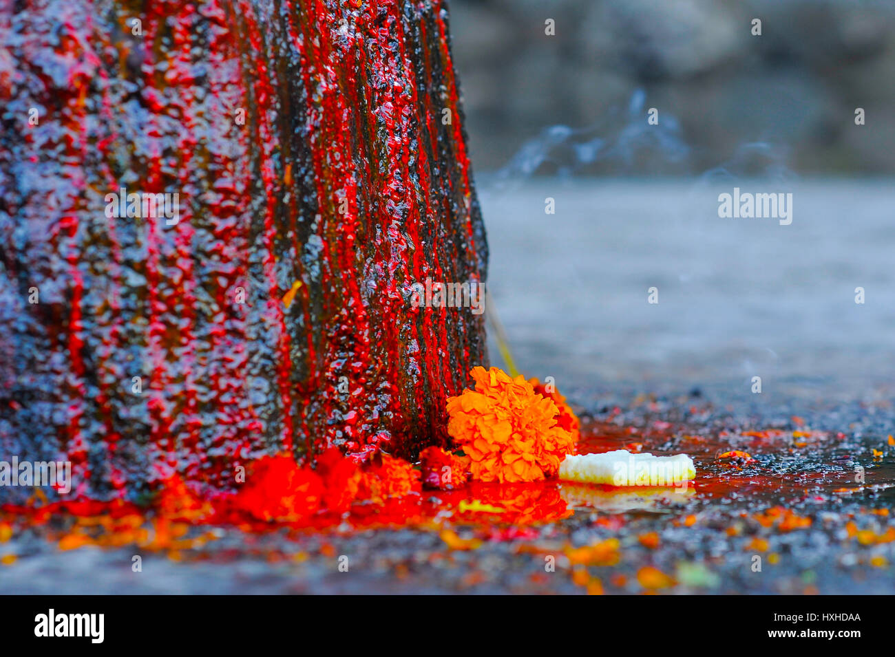 Rosso Sangue vernice kumkuma correndo giù un lingum Shiva in India Foto Stock