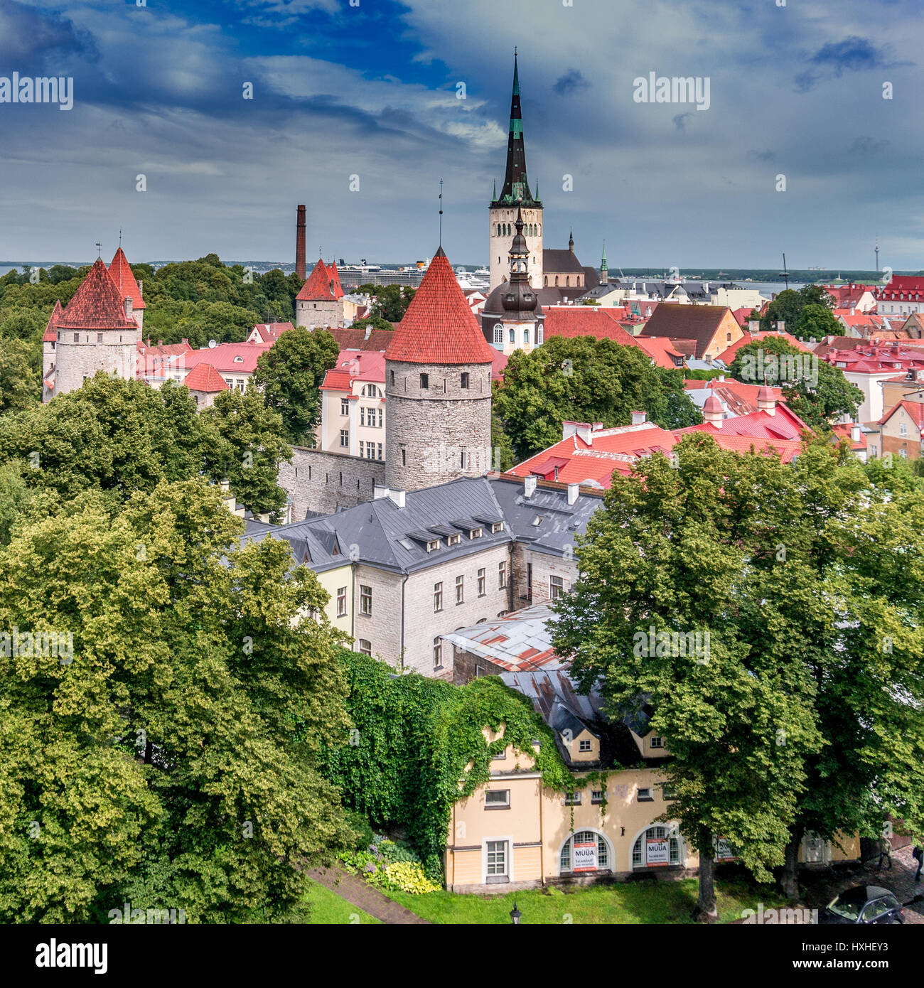 Kiek in de Kök, Tallinn Foto Stock