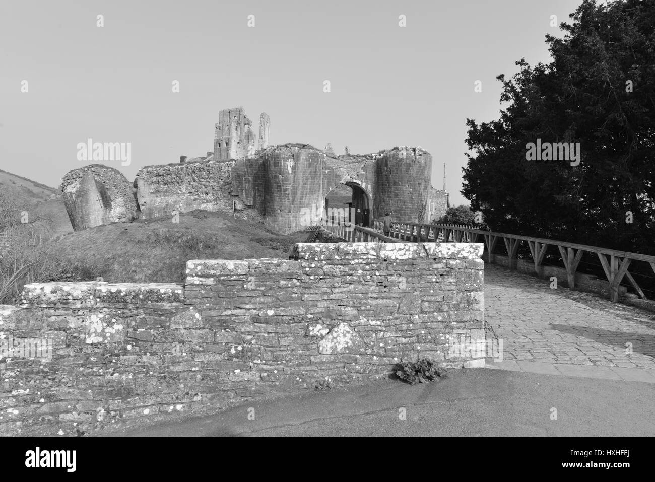 Le rovine di Corfe Castle su una mattina di primavera in Marzo Foto Stock