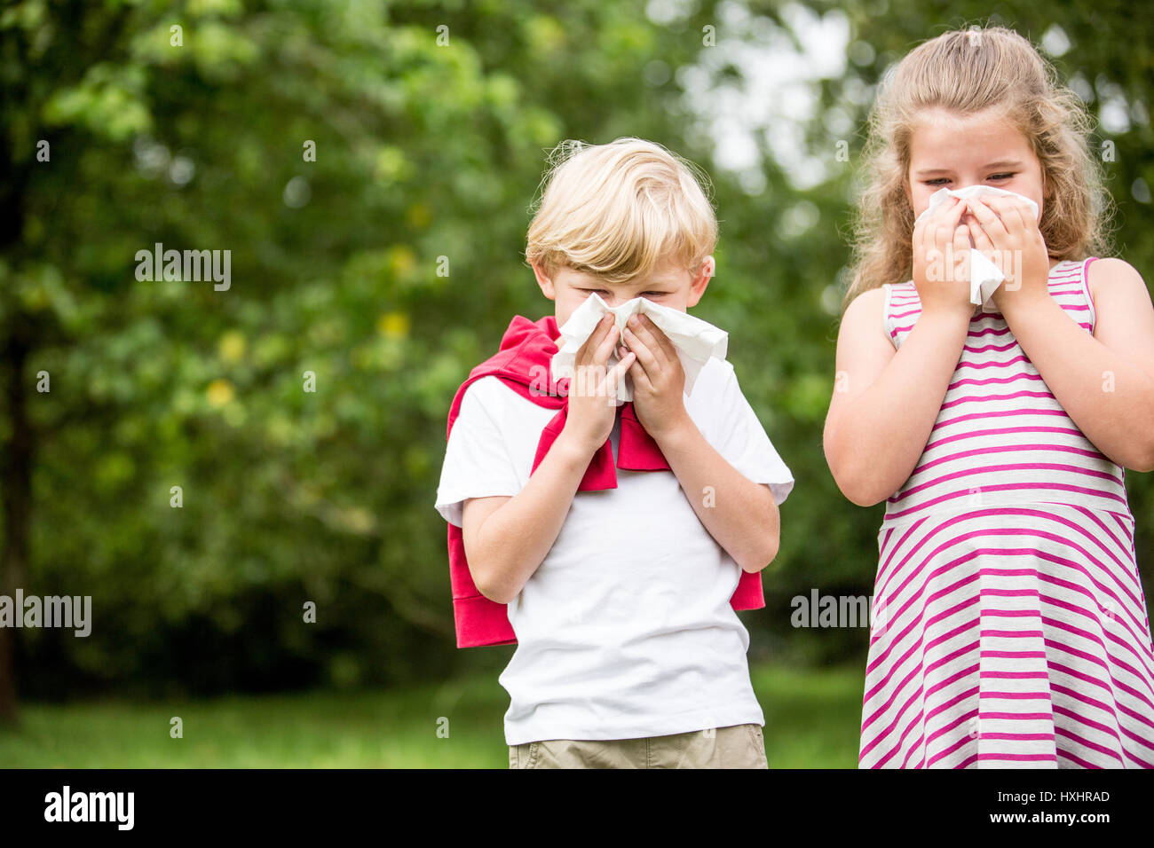 I bambini con febbre da fieno o allergia al parco starnuti e utilizzando un tessuto Foto Stock