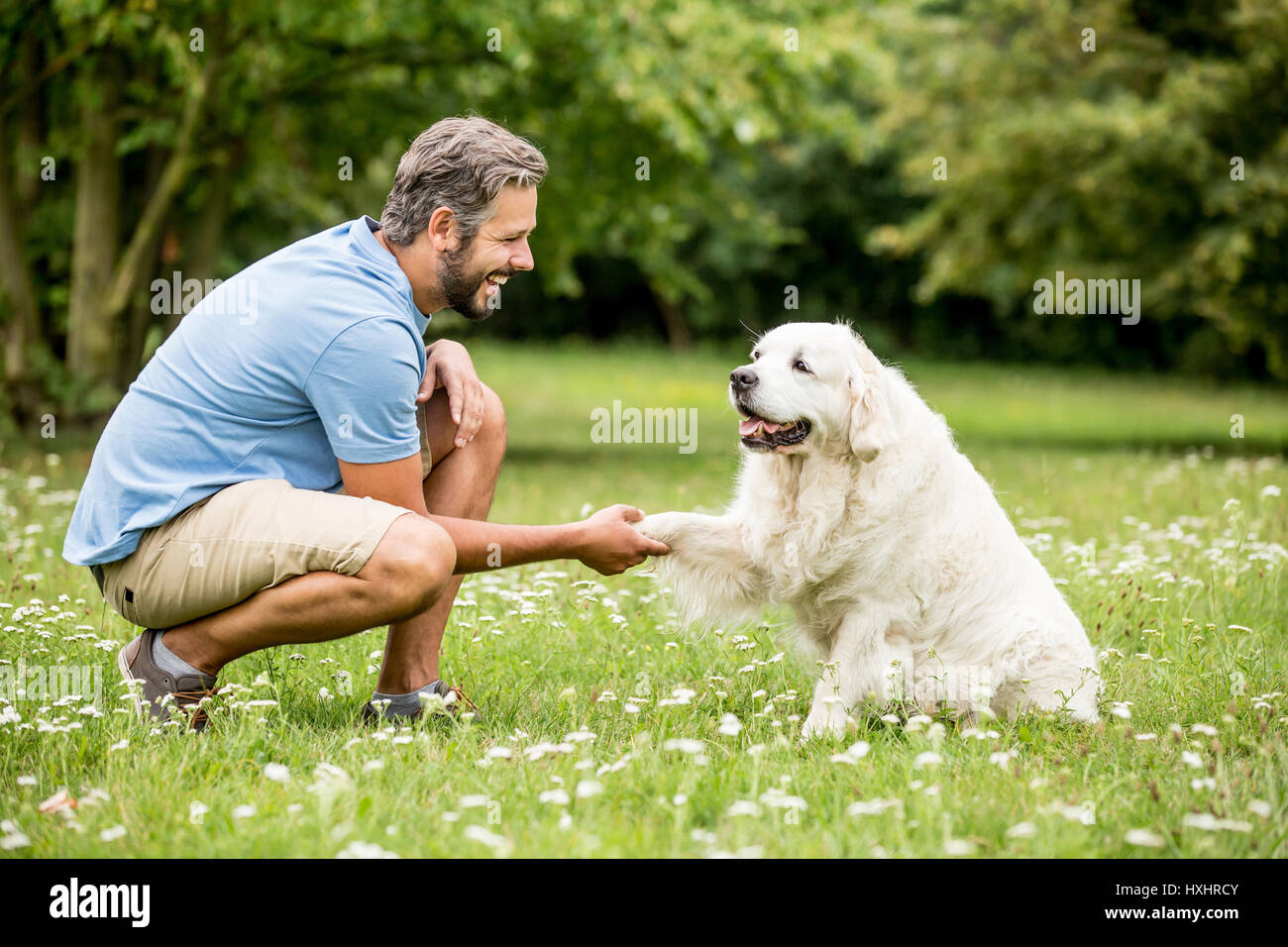 Formazione uomo Golden Retriever cane nel parco Foto Stock