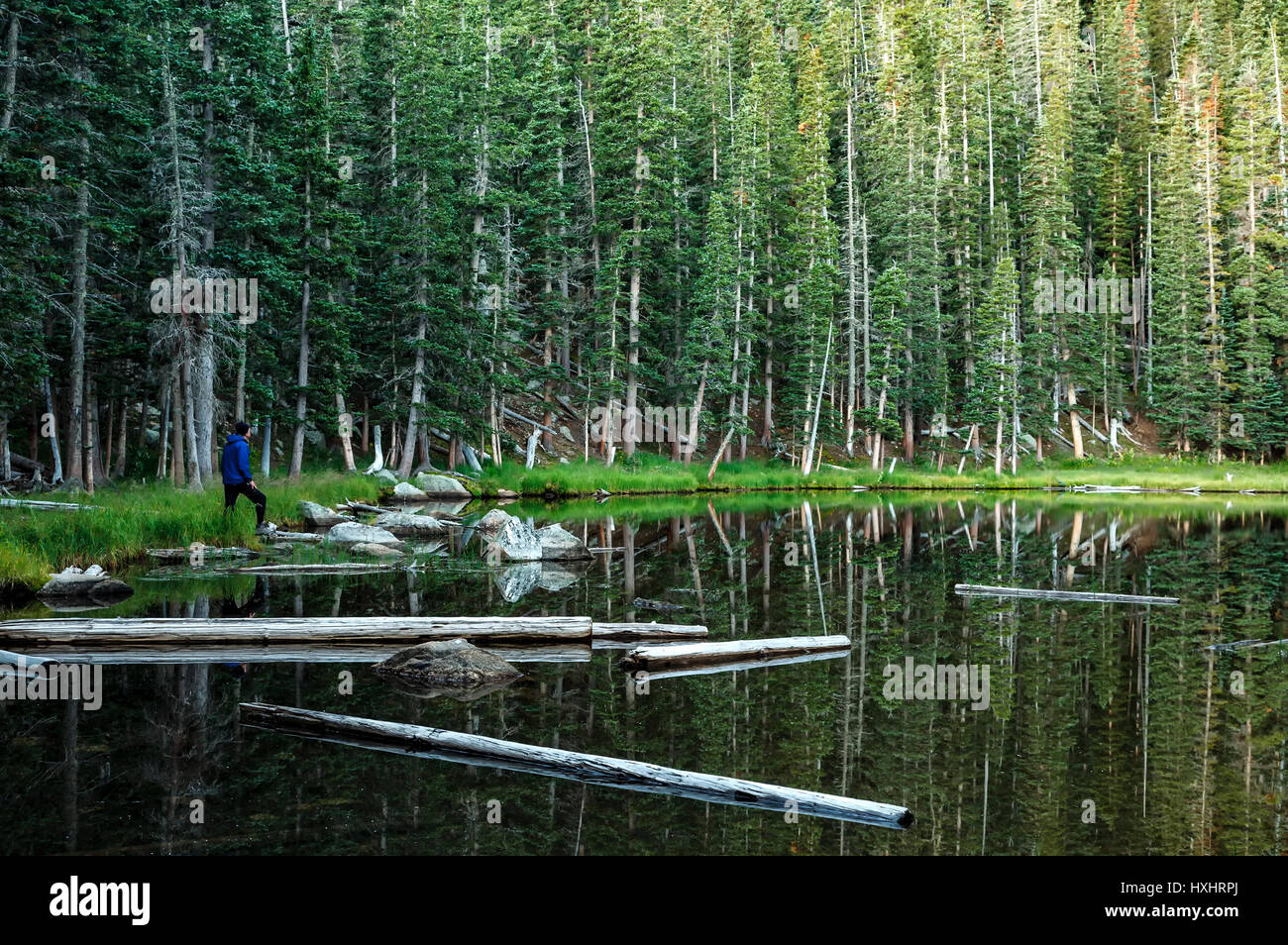 Escursionista presso Spirit Lake, Santa Fe National Forest, Nuovo Messico USA Foto Stock