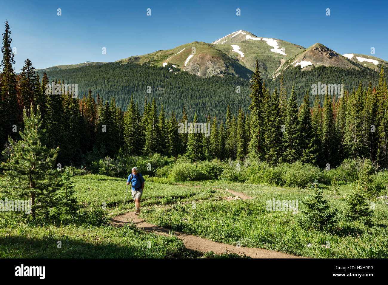 Escursionista su Herman Gulch Trail, Arapaho National Forest, Colorado, STATI UNITI D'AMERICA Foto Stock