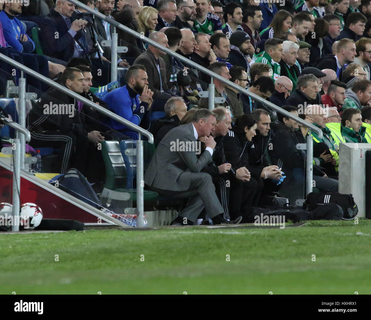 Stadio Nazionale al Windsor Park di Belfast. Il 26 marzo 2017. 2018 World Cup Qualifier - Irlanda del Nord 2 Norvegia 0. Irlanda del Nord manager Michael O'Neill (adatto a sinistra) concentrandosi sul match. Foto Stock