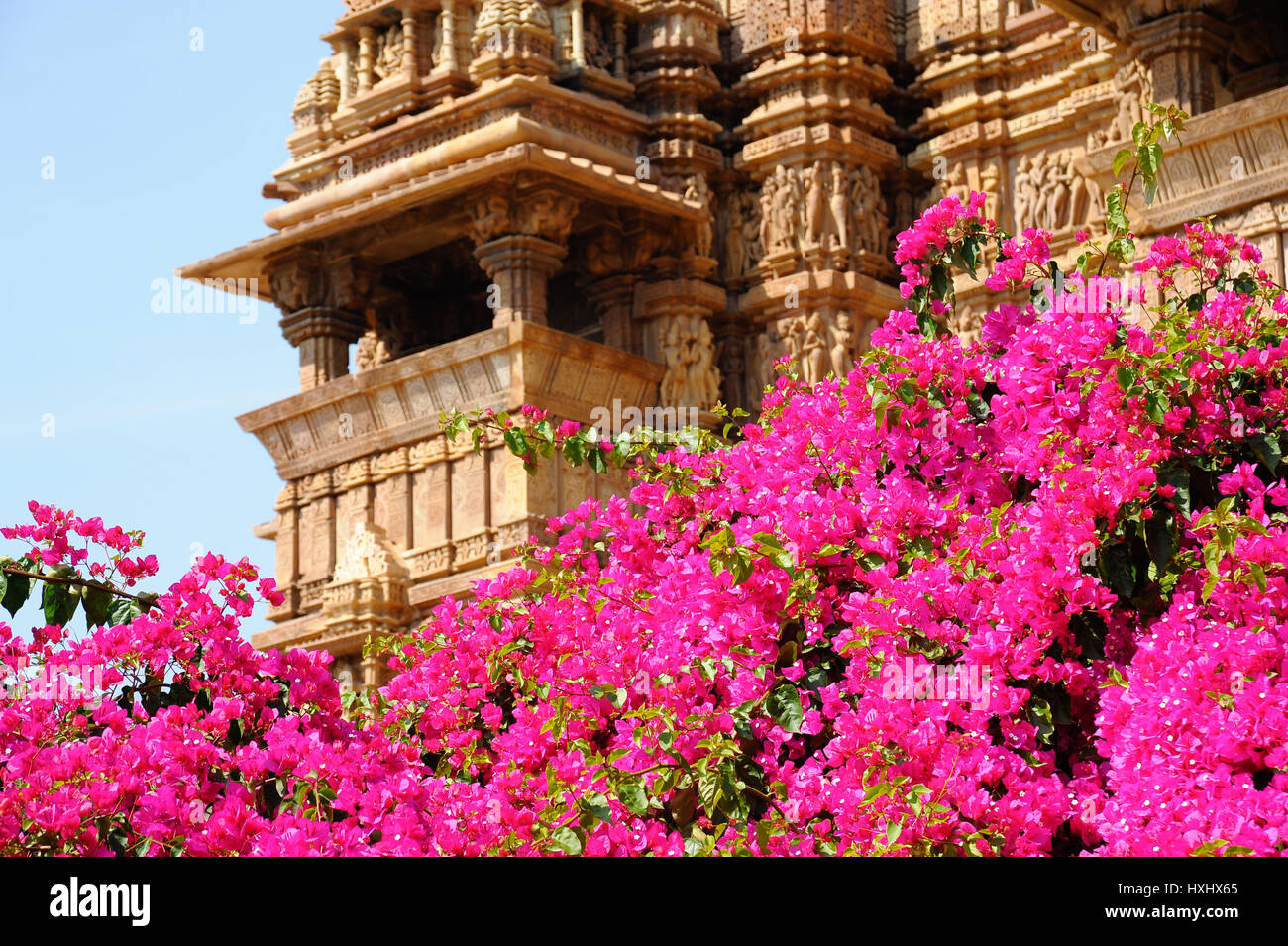 Il Bougainvillea di Khajuraho tempio complesso Foto Stock