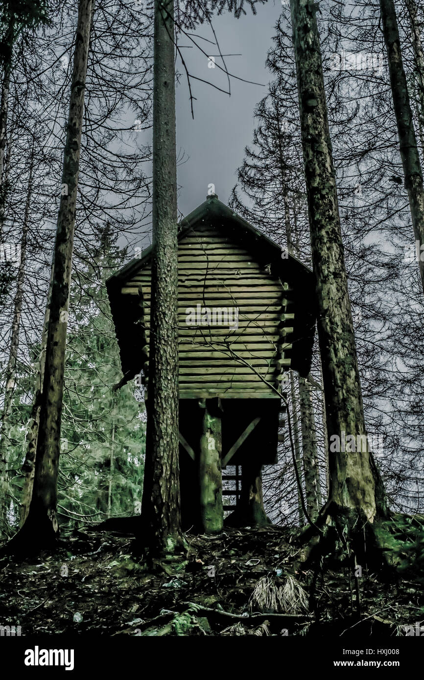 Creepy cottage capanna abbandonata circondata da alberi, terrore spaventoso cottage nella foresta Foto Stock