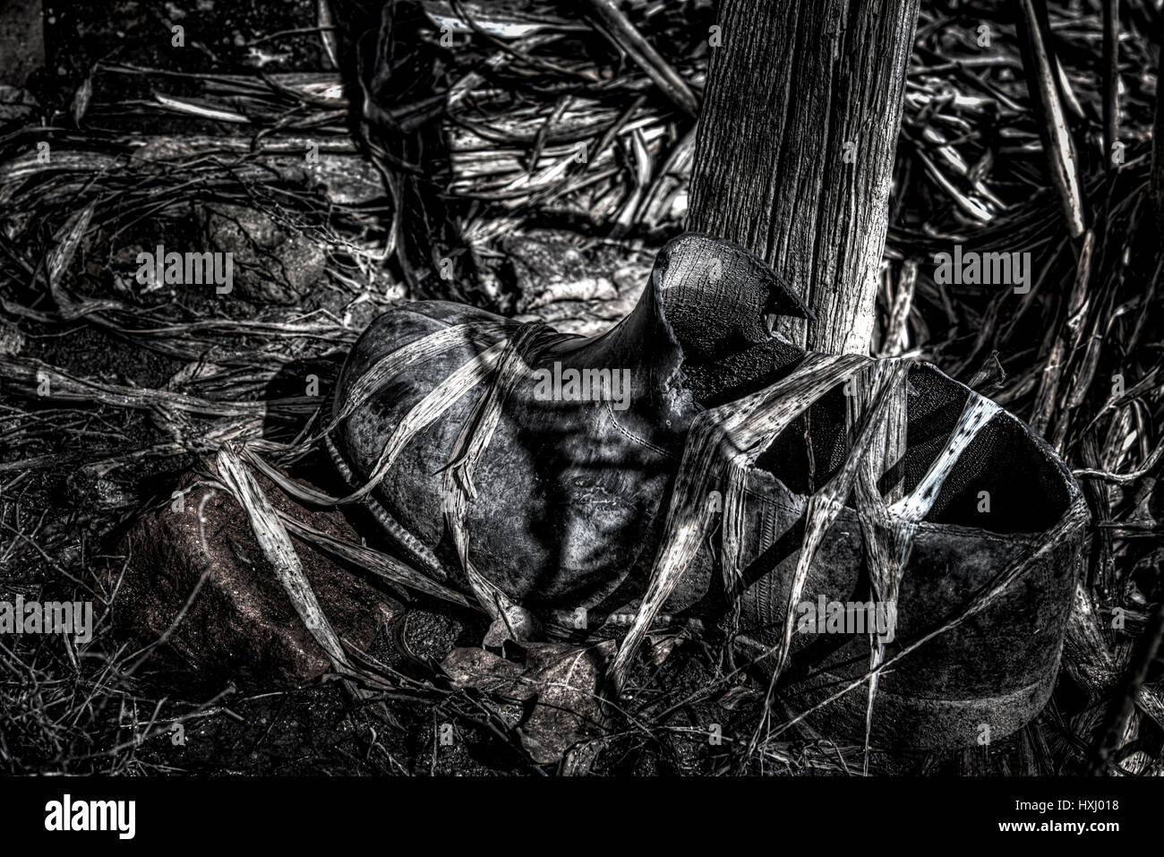 Vecchio scarpone strappato Foto Stock