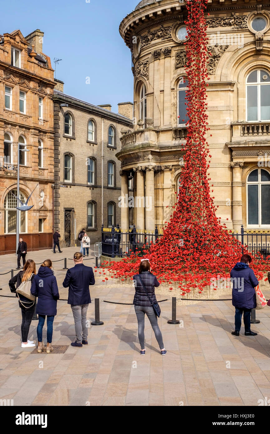 Papaveri finestra piangendo dall artista Paul Cummings & designer Tom Piper per commemorare la Prima Guerra Mondiale Foto Stock