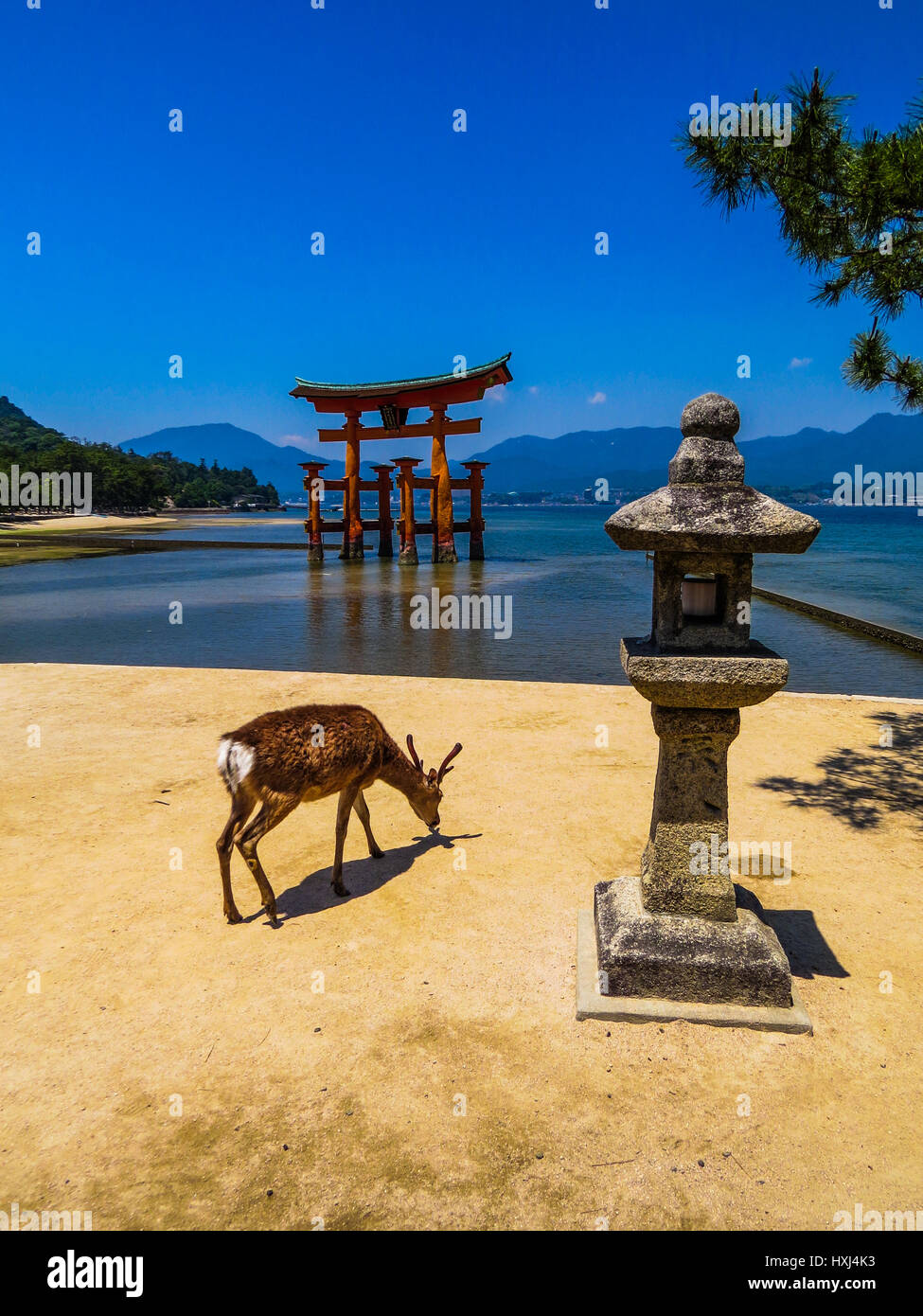 Itsukushima sacrario scintoista di Miyajima, Giappone Foto Stock