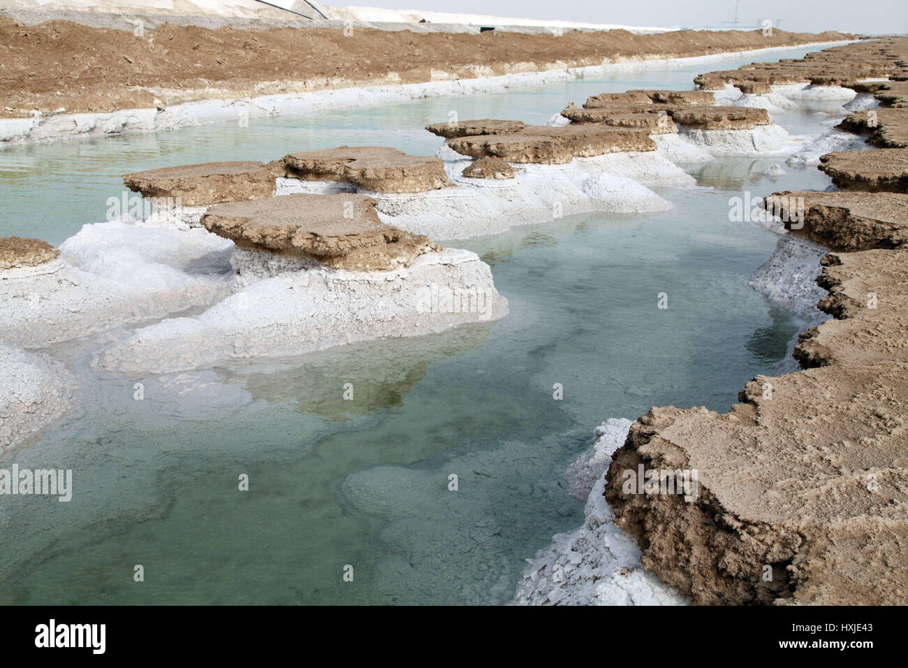 Xinjiang, Cina. 28 Mar, 2017. Lop Nur è un ex Salt Lake in Cina, ora in gran parte secche, situato tra il Taklamakan e Kumtag deserti nella porzione sud-orientale dello Xinjiang Uygur Regione autonoma in Cina. È essiccato fino a causa della costruzione di dighe che blocca il flusso di alimentazione di acqua nel lago di sistema e solo piccoli laghi stagionali e paludi può formare. Le Secche di Lop Nur bacino è coperto con una crosta di sale variabili da 30 cm a 1 m di spessore. Credito: SIPA Asia/ZUMA filo/Alamy Live News Foto Stock