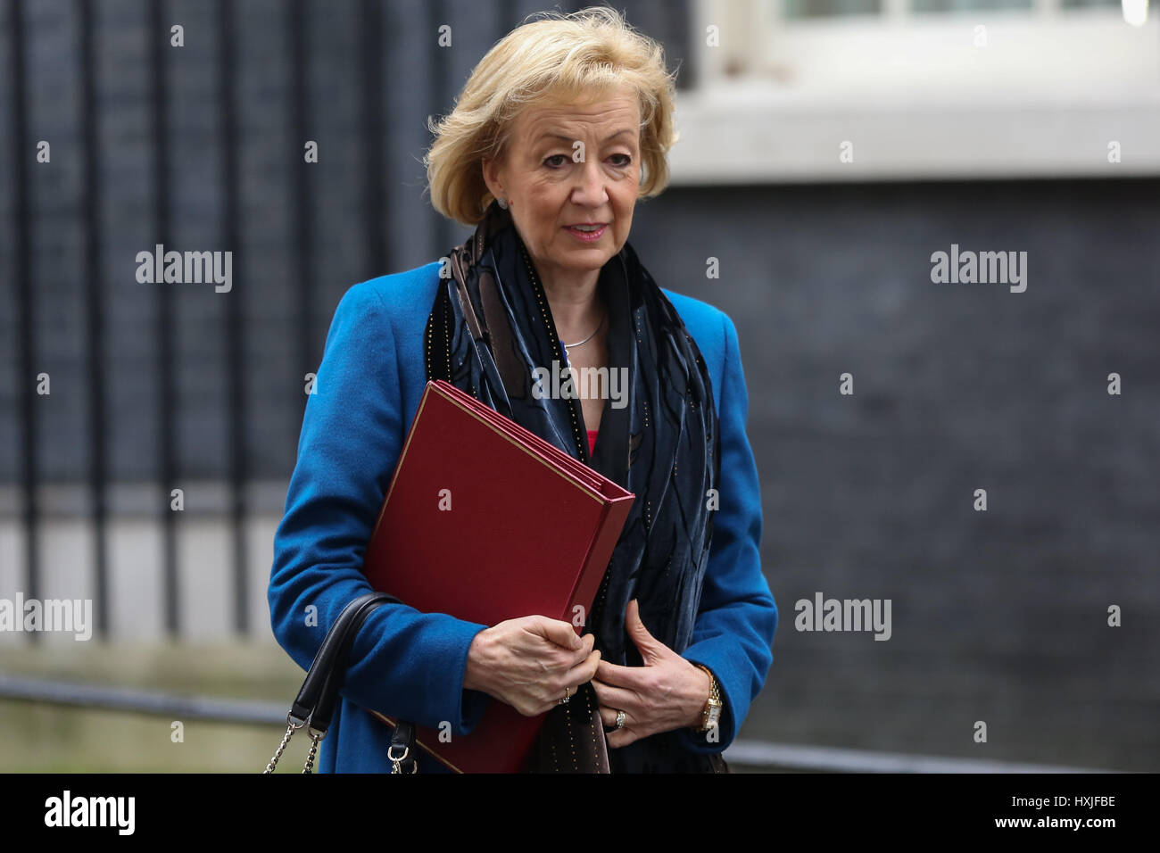 A Downing Street, Londra, Regno Unito. 29 Mar, 2017. Andrea Leadsom Segretario di Stato per l'ambiente alimentari e gli affari rurali lascia dopo il settimanale riunione del gabinetto al numero 10 di Downing street il giorno in cui il primo ministro sarà sarà ufficialmente notificare l'UE della Gran Bretagna ha intenzione di lasciare e farà una dichiarazione alla House of Commons il seguente PMQs su Brexit. Credito: Dinendra Haria/Alamy Live News Foto Stock