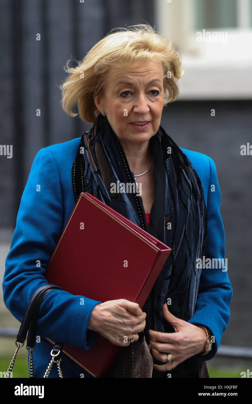 A Downing Street, Londra, Regno Unito. 29 Mar, 2017. Andrea Leadsom Segretario di Stato per l'ambiente alimentari e gli affari rurali lascia dopo il settimanale riunione del gabinetto al numero 10 di Downing street il giorno in cui il primo ministro sarà sarà ufficialmente notificare l'UE della Gran Bretagna ha intenzione di lasciare e farà una dichiarazione alla House of Commons il seguente PMQs su Brexit. Credito: Dinendra Haria/Alamy Live News Foto Stock