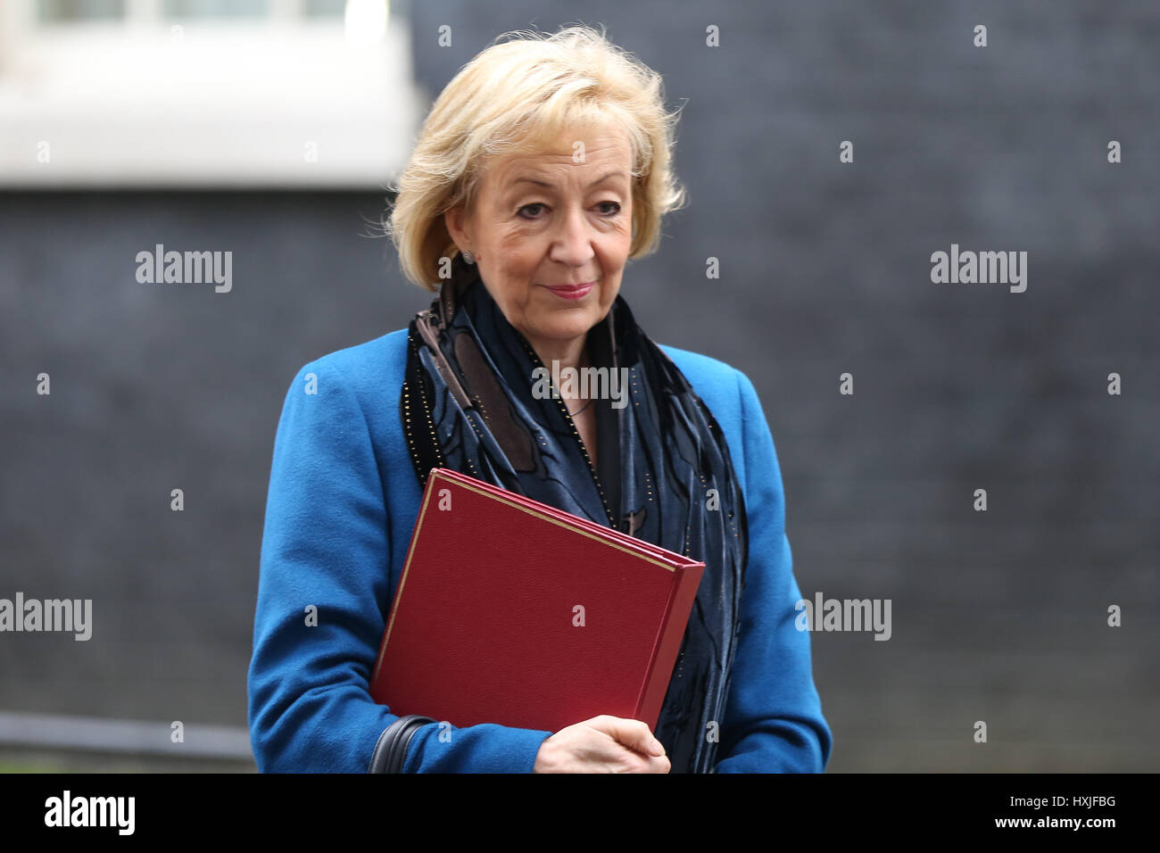 A Downing Street, Londra, Regno Unito. 29 Mar, 2017. Andrea Leadsom Segretario di Stato per l'ambiente alimentari e gli affari rurali lascia dopo il settimanale riunione del gabinetto al numero 10 di Downing street il giorno in cui il primo ministro sarà sarà ufficialmente notificare l'UE della Gran Bretagna ha intenzione di lasciare e farà una dichiarazione alla House of Commons il seguente PMQs su Brexit. Credito: Dinendra Haria/Alamy Live News Foto Stock
