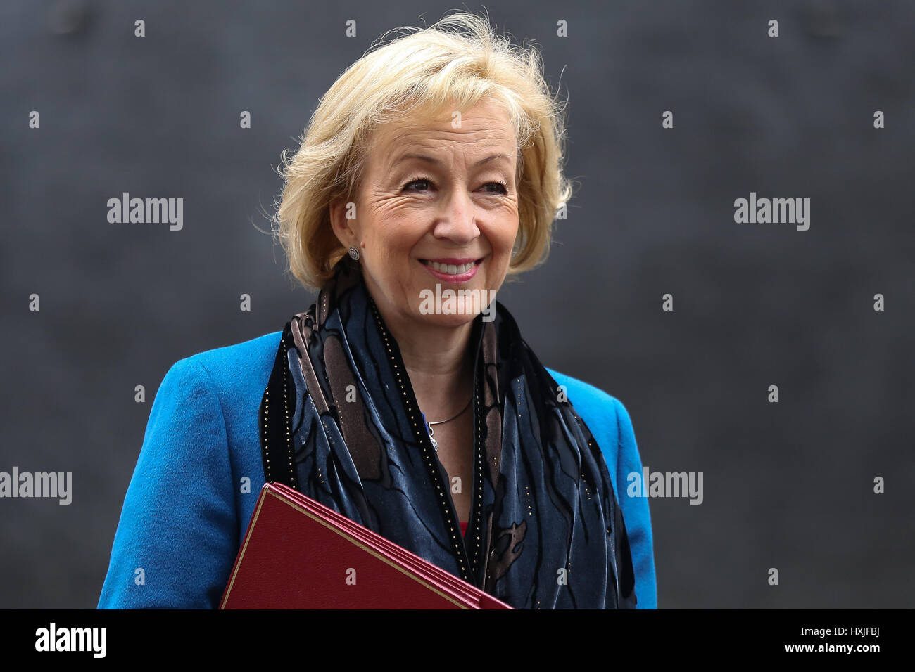 A Downing Street, Londra, Regno Unito. 29 Mar, 2017. Andrea Leadsom Segretario di Stato per l'ambiente alimentari e gli affari rurali lascia dopo il settimanale riunione del gabinetto al numero 10 di Downing street il giorno in cui il primo ministro sarà sarà ufficialmente notificare l'UE della Gran Bretagna ha intenzione di lasciare e farà una dichiarazione alla House of Commons il seguente PMQs su Brexit. Credito: Dinendra Haria/Alamy Live News Foto Stock